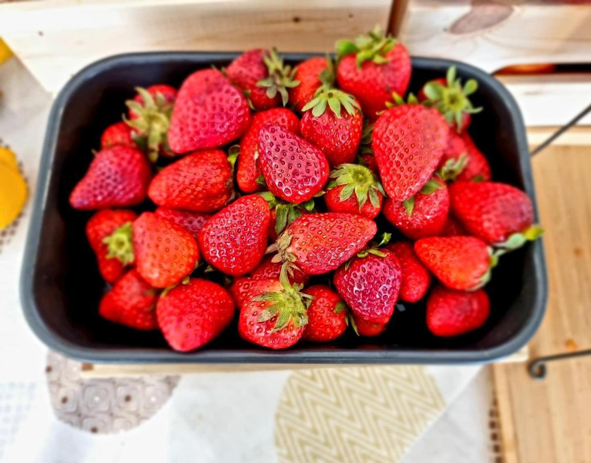 Hotel Elefantino Grey - Free Breakfast & Brunch Until 13-00 - Vicinissimi A Mirabilandia Milano Marittima Extérieur photo